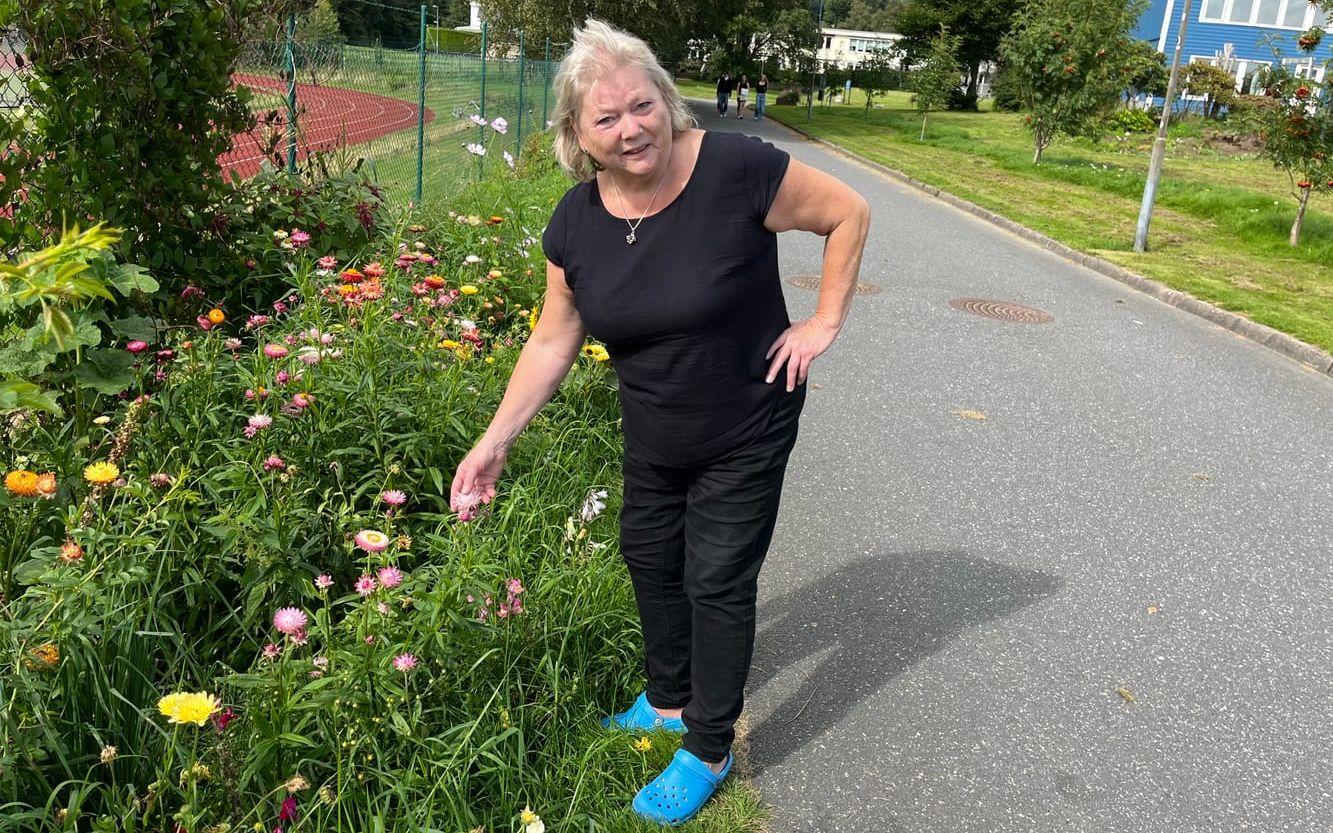 Rosenskäran har varit en återkommande favorit flera år. Marita berättar att den första året växte i stora buskar.